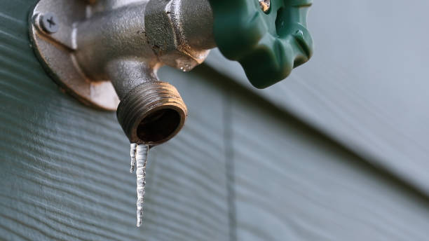 Best Shower Repair Services  in Normandy Park, WA